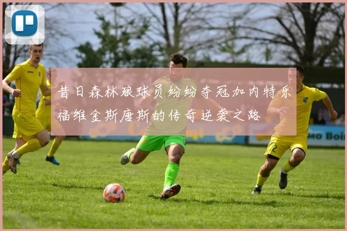 昔日森林狼球员纷纷夺冠加内特乐福维金斯唐斯的传奇逆袭之路