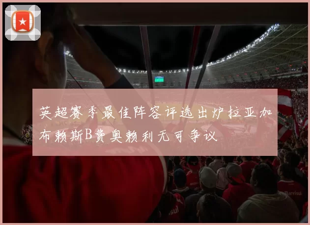 英超赛季最佳阵容评选出炉拉亚加布赖斯B费奥赖利无可争议